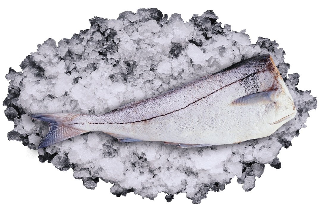 Продукция — UNIFROST